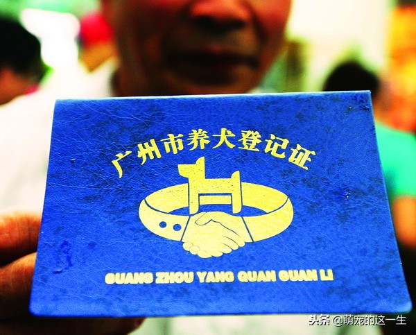 中华田园犬被列为城区禁养犬,中华田园犬是否被禁养