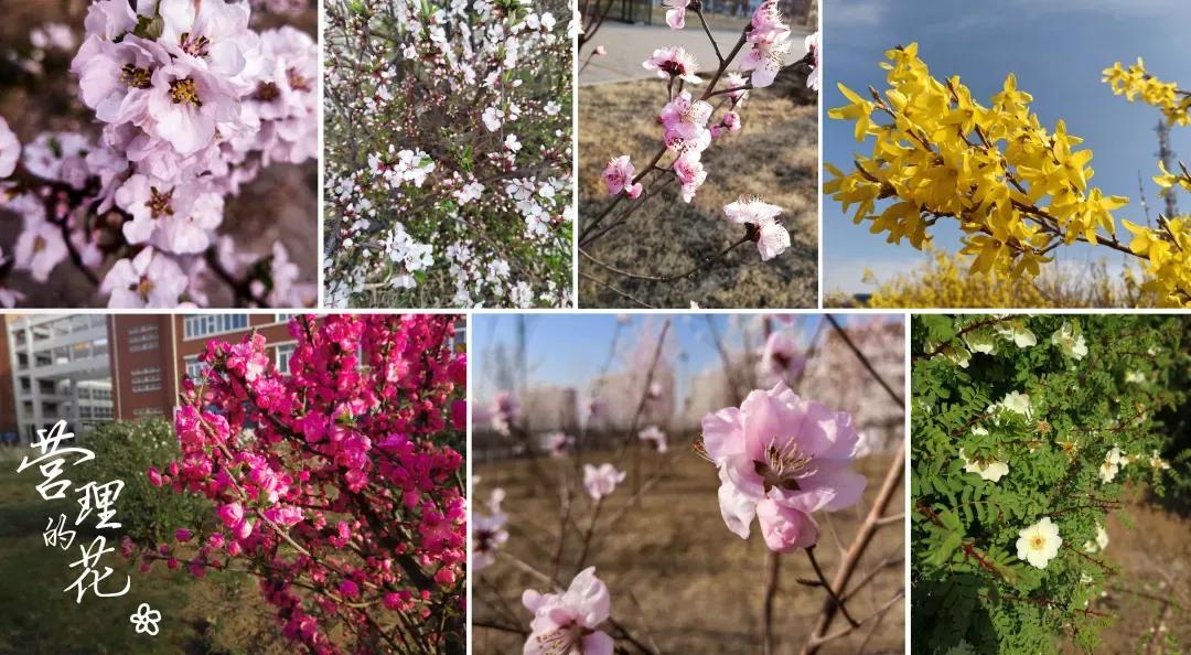 营口理工学院咋样,辽宁省公办高校营口理工学院