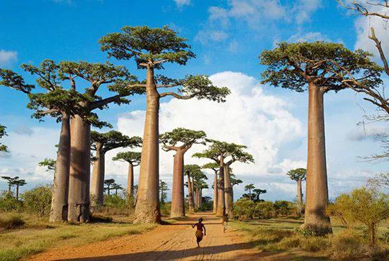 非洲资源丰富，人口众多，为什么没有形成一个统一的大帝国？