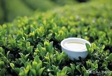 诸城简介,诸城是什么样的图片