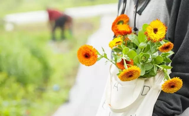 最会说情话的人全集,最会说情话的人