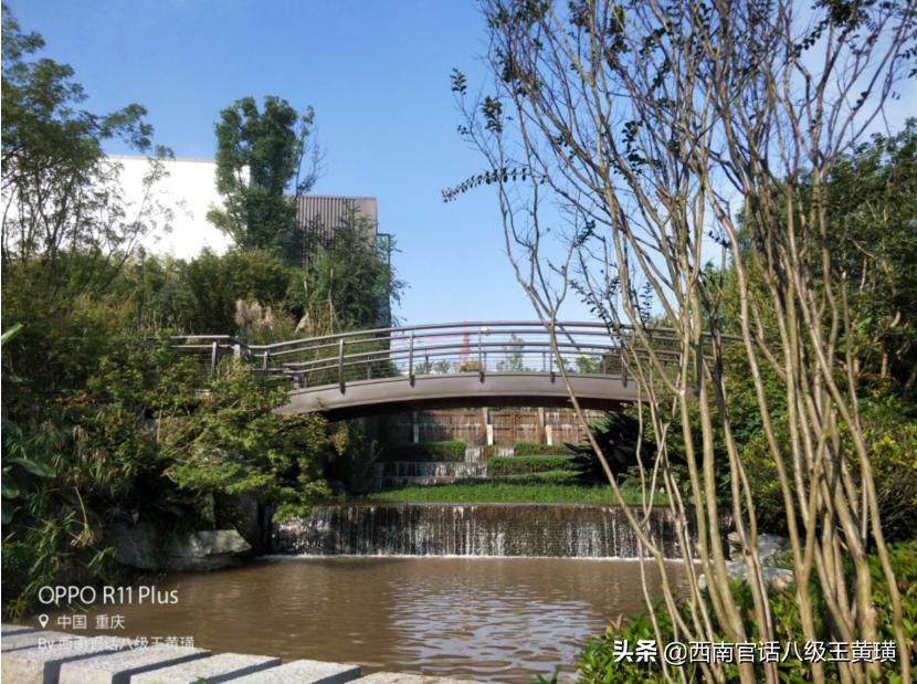 龙兴两江足球赛事中心,重庆龙兴足球场比赛视频