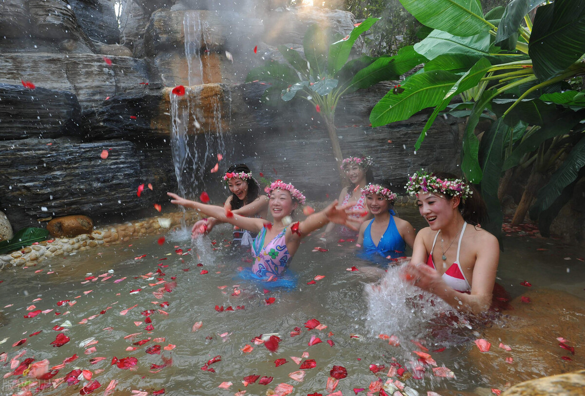 刘若英凤凰男电视剧,刘若英演的凤凰男