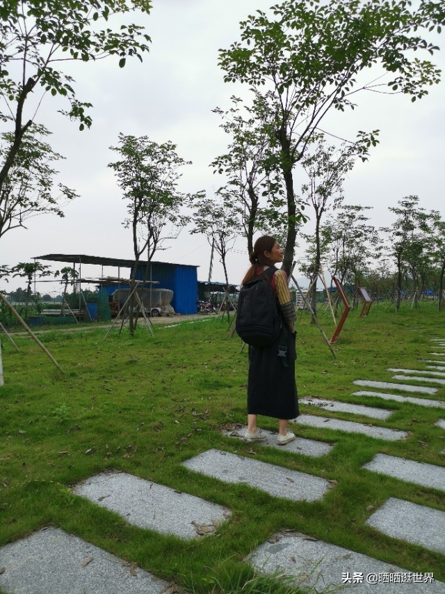 江心孤岛车不上锁,田园牧歌桑基鱼塘,环岛漫游处处花海