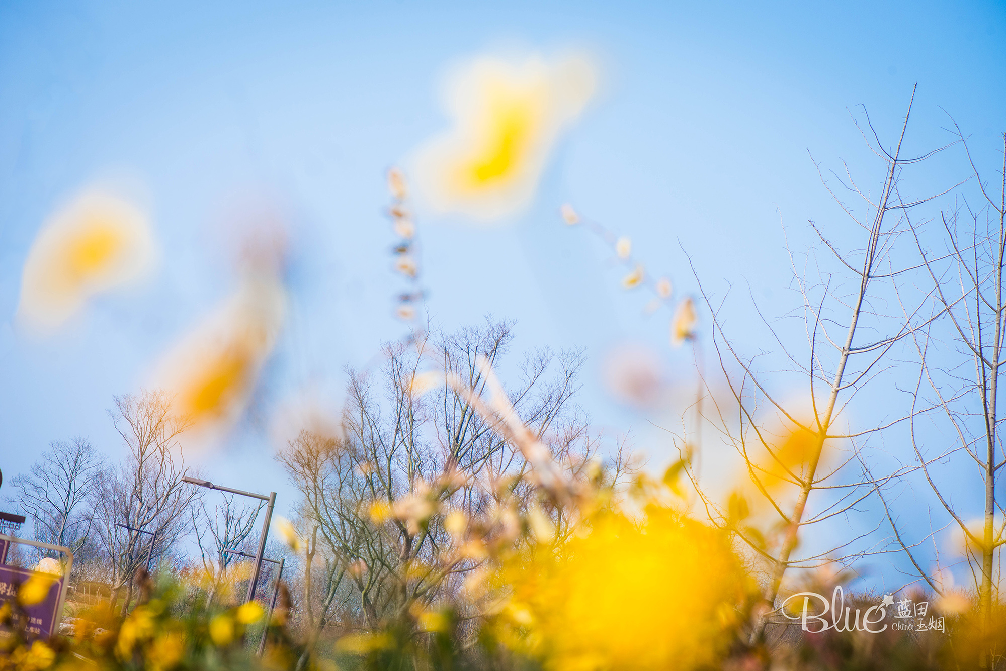 最有灵性的古佛寺,国内最美佛寺排行榜前十