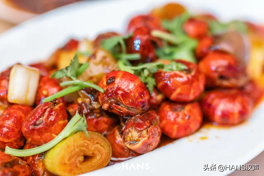 武汉七星酒店推荐,武汉七星酒店