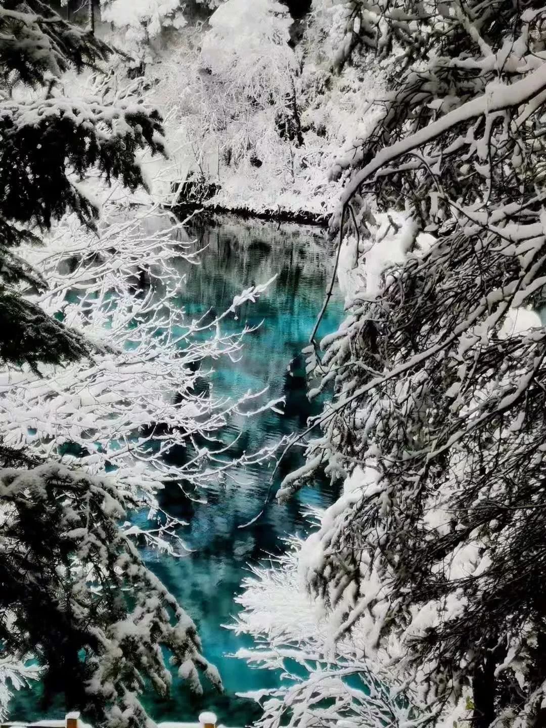 九寨沟旅游如何购票,散客九寨沟景区怎么玩