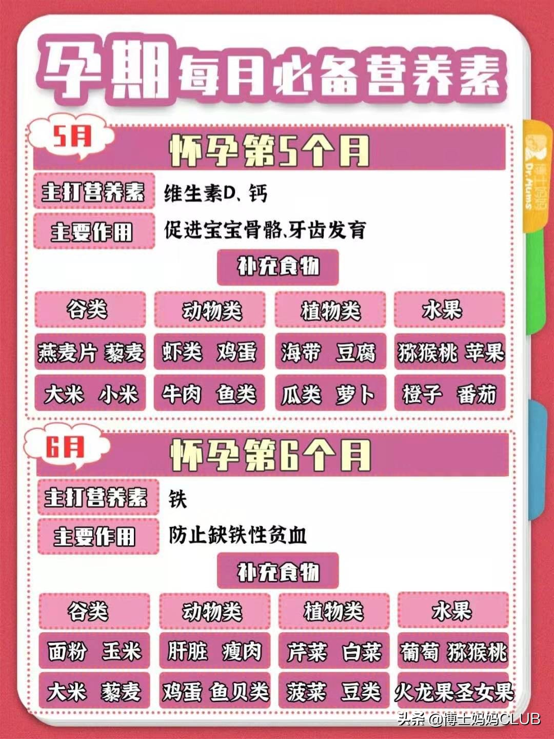 孕妇1-3个月吃什么营养最好,孕期1-10个月怎么吃