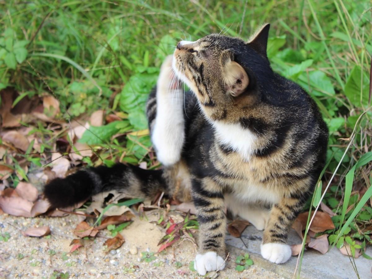 “小妹妹”瘙痒的6个原因