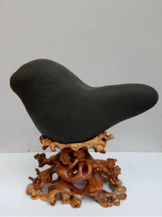 都是些什么“鸟石”？保证有你好看