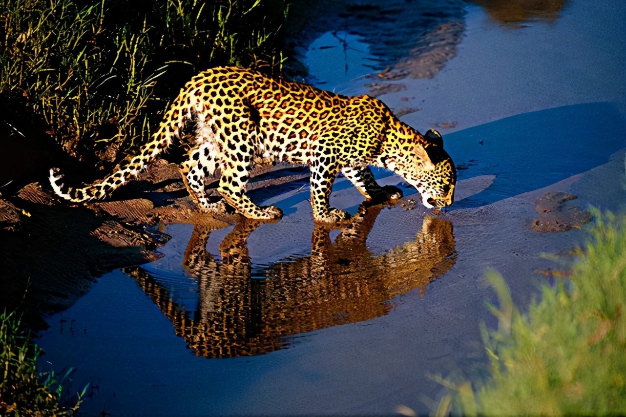 期末考试优秀作文200字,期末作文故事借鉴