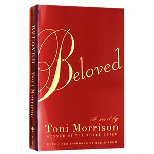 莫里森宠儿,宠儿莫里森故事梗概