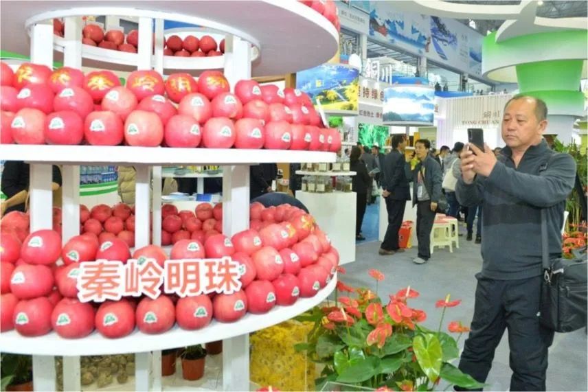 农高会展区展会亮点,今年杨凌农高会的亮点