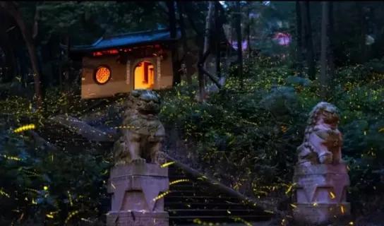 去南京鸡鸣寺是什么心态,鸡鸣寺为啥年轻人多