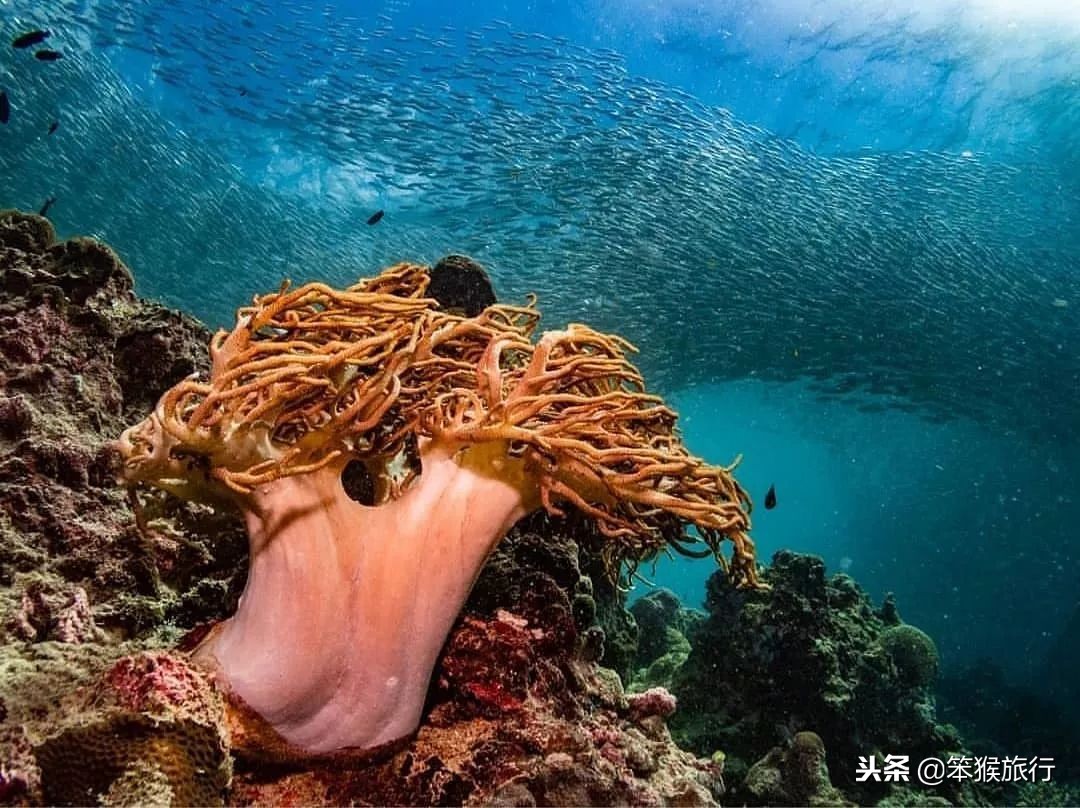 东南亚迎来开岛季！6K+预算3座避世海岛，跳岛10日过暖冬