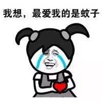 夏天被蚊子咬的烦恼,当夏天你被蚊子咬了怎么办