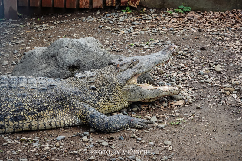 九州别府地狱温泉,别府八大地狱温泉攻略