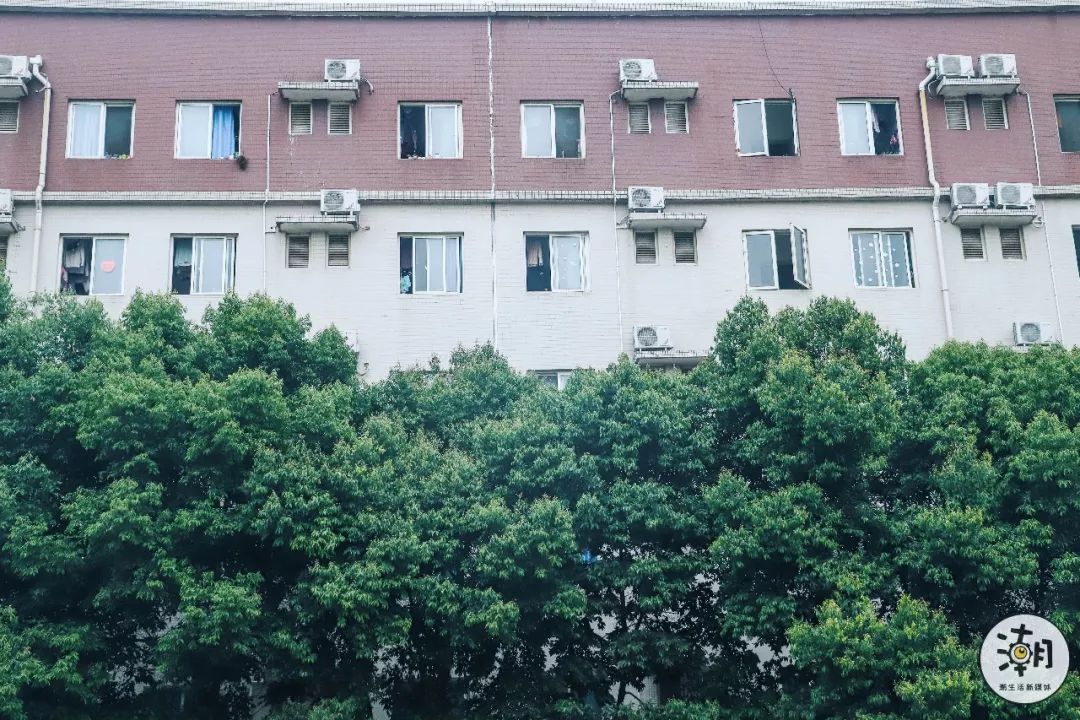 閿﹀煄鐨囧璐垫棌瀛﹂櫌,鎴愰兘閿﹀煄璐垫棌瀛﹂櫌