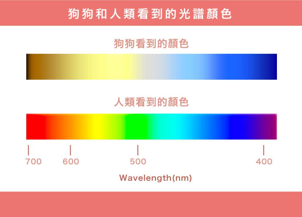 你们男生知道女生的口红色号吗,男人真的分不清口红色号吗