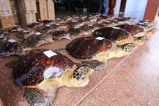 它“避得了邪”,却护不住自己