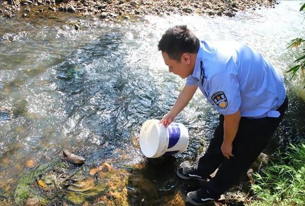 龟壳奇特的宠物龟,常见的十大凶猛宠物龟