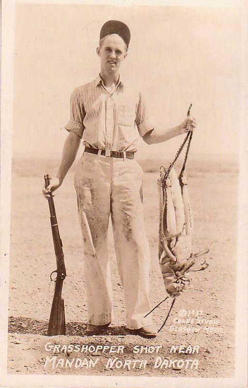 4000亿蝗虫为什么会出现,蝗虫为什么无法灭绝