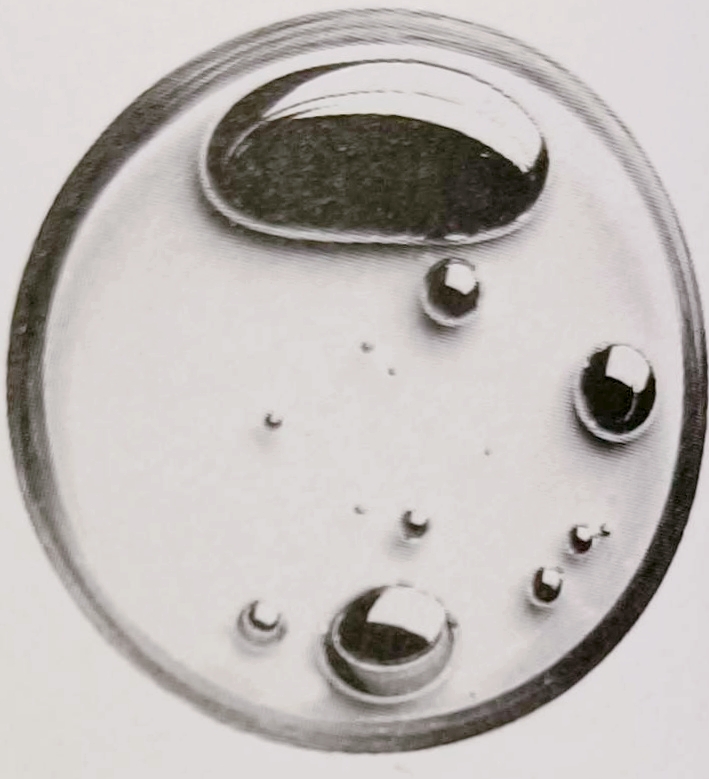 汞的解毒药,解汞毒最好秘方