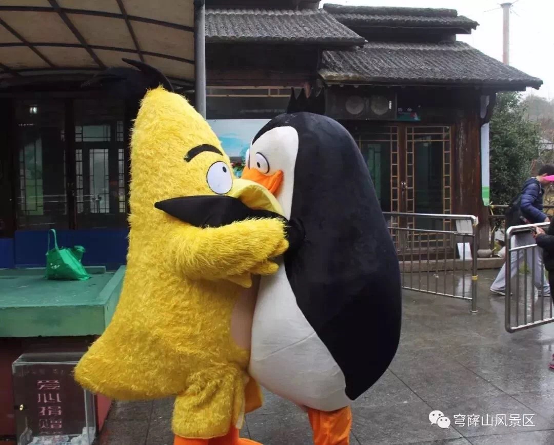 热闹春节行：春节在穹窿山留下的温暖回忆……