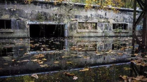 缺钱的症状和危害,缺钱真的很可怕