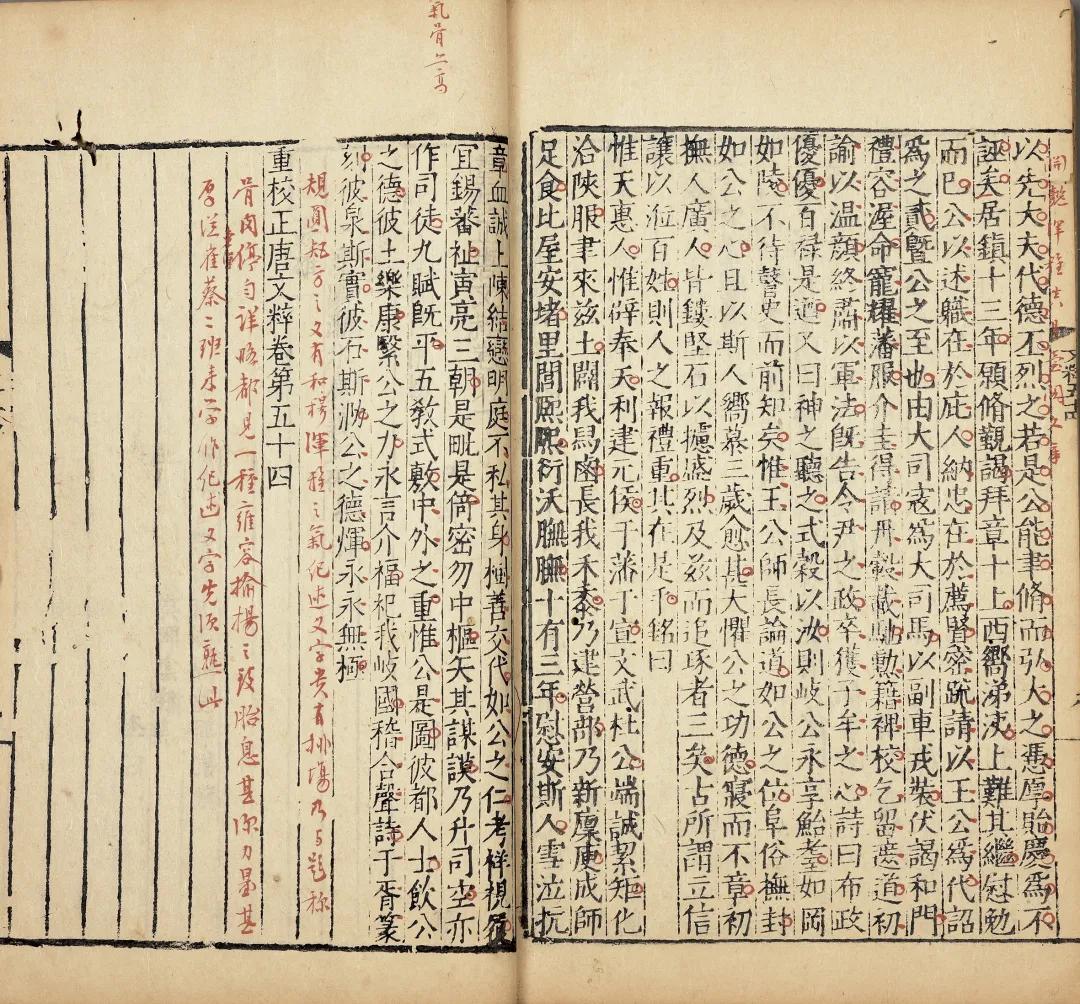 一念莲花开是什么意思,一念莲花开图片