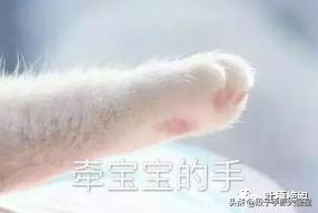 那些玩密室逃脱的爆笑场面,盘点密室逃脱里的爆笑场面