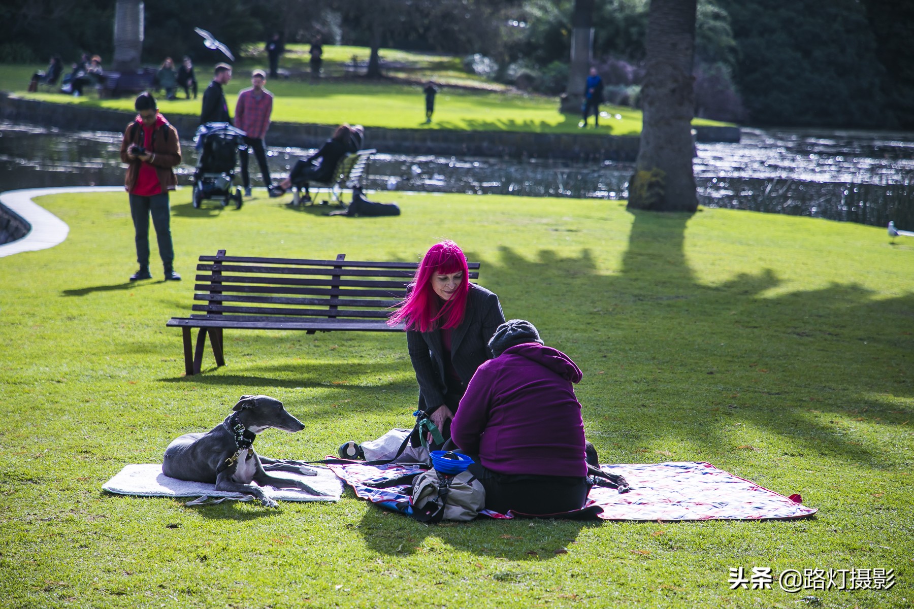 国外有没有禁止踩踏草坪,为什么国外草坪可以随便踩