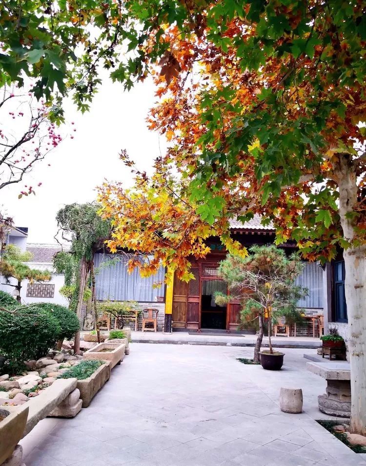 漫随天外云卷云舒免费,漫随天外云卷云舒抖音