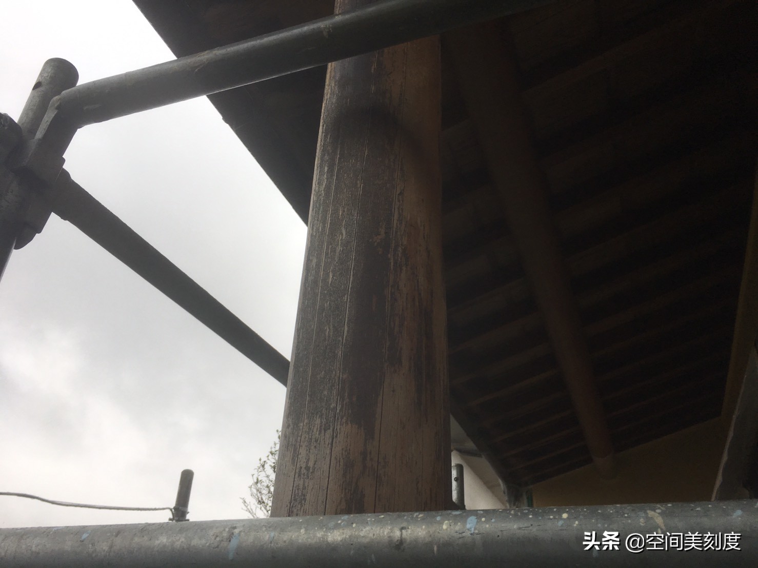 墙上顽固的霉菌怎么处理,怎么清除霉菌生活小妙招