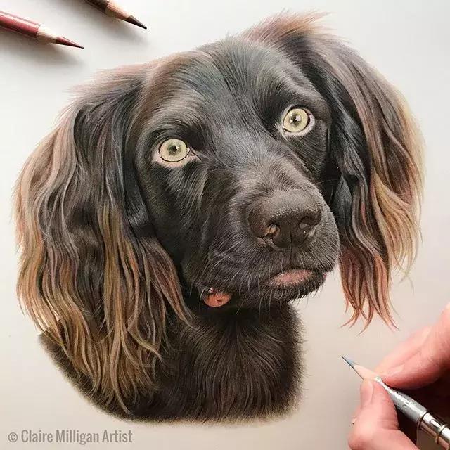 彩铅如何画得非常细腻,彩铅画的很好看零基础