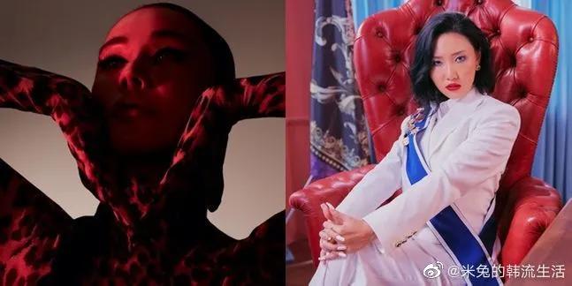 韩国综艺洪真英音痴,韩娱新回归女团