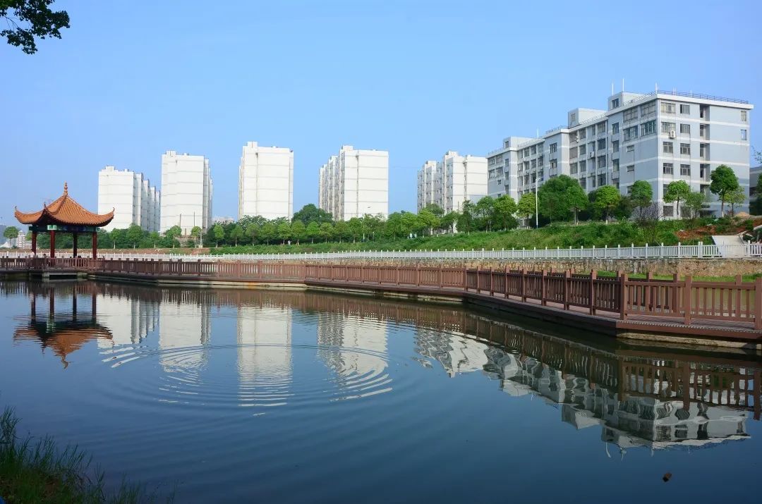 高校科技展会,湖南大学科技楼参观