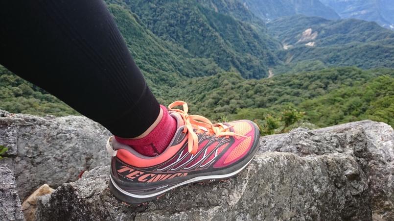 萨洛蒙和泰尼卡越野跑鞋,泰尼卡越野跑鞋至尊全能比较