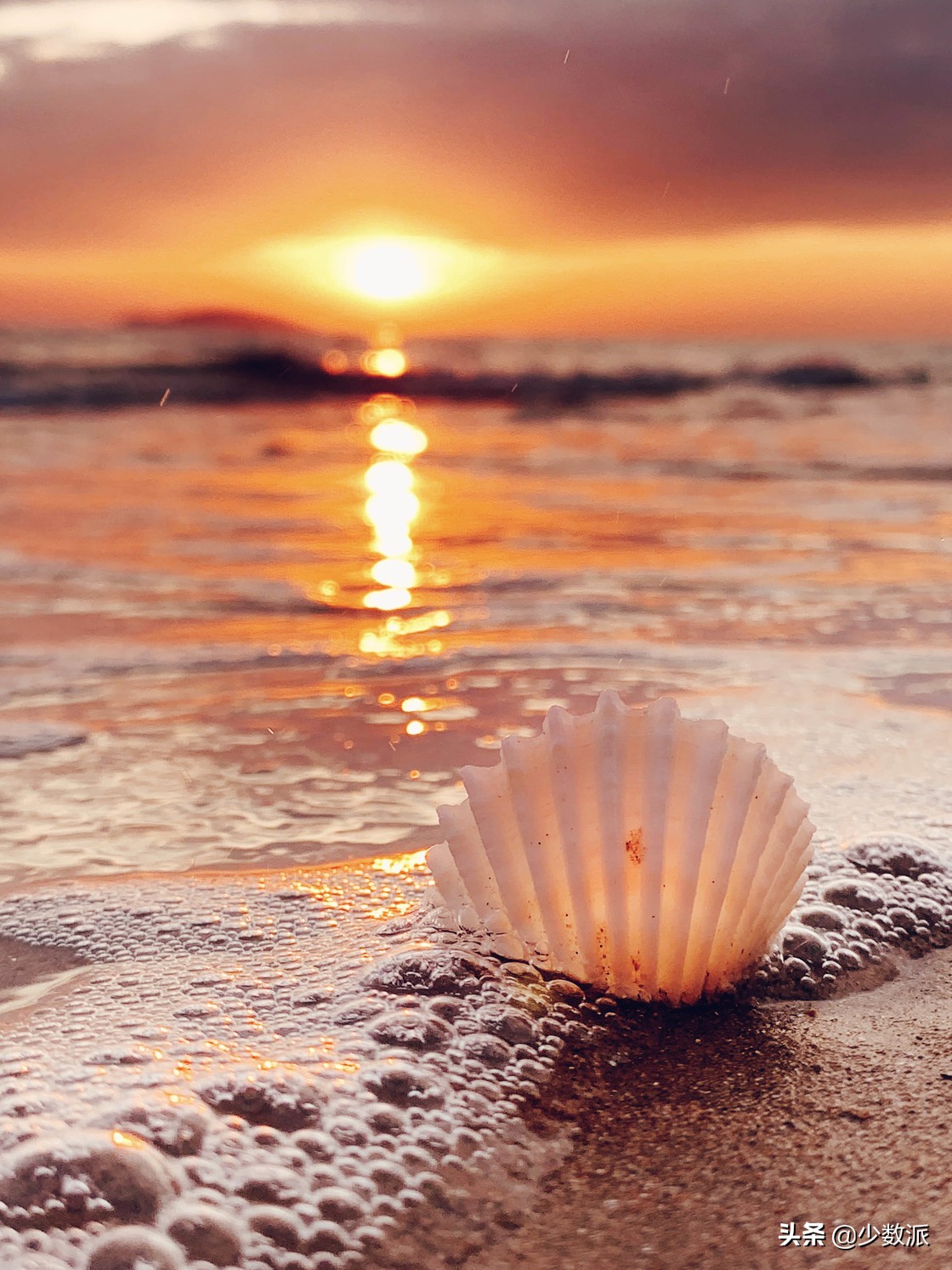 iphone怎么拍最高清的照片,怎样用iphone拍出好看的照片视频