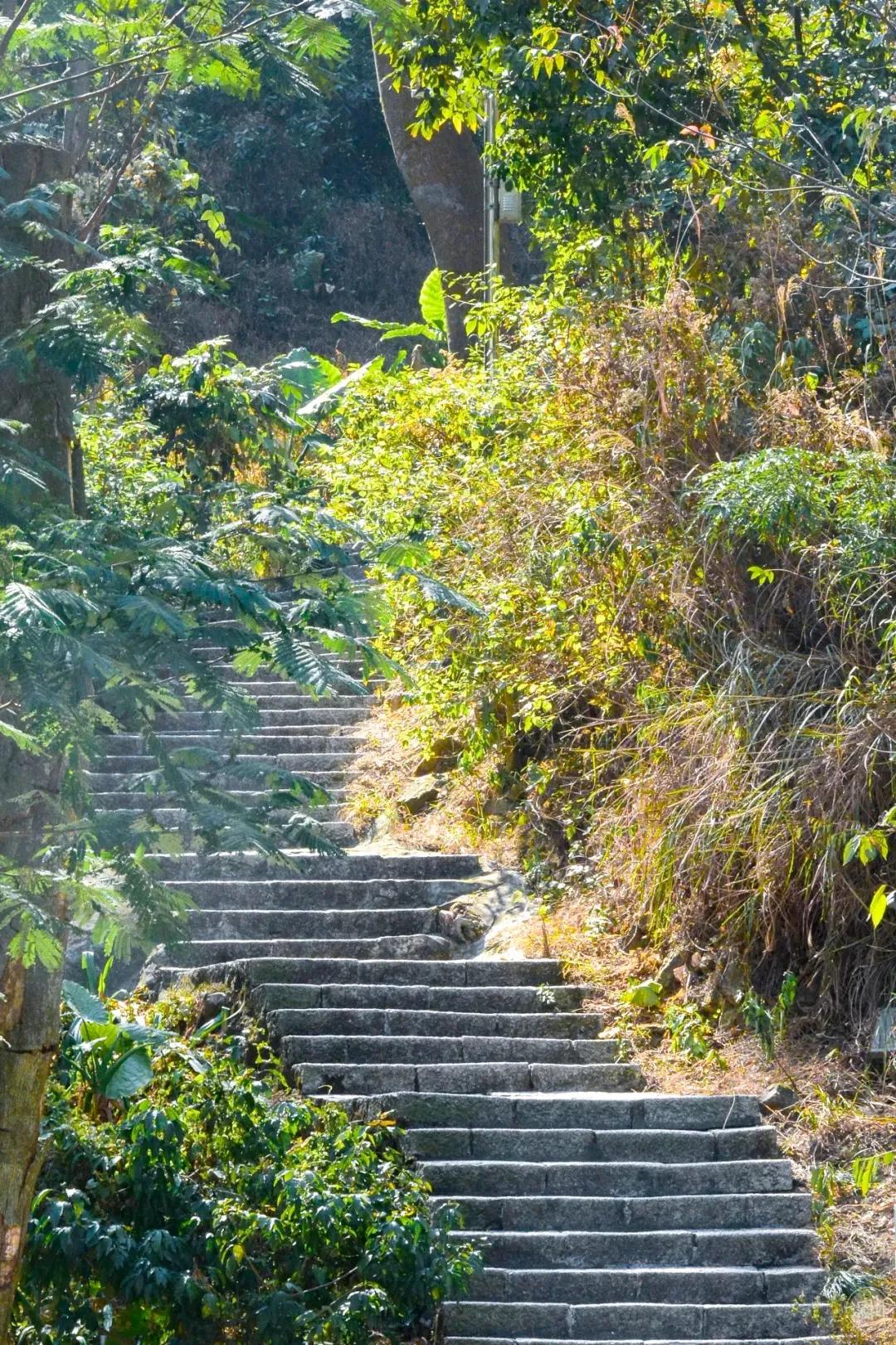 深圳值得打卡的建筑物,深圳最值得打卡的山