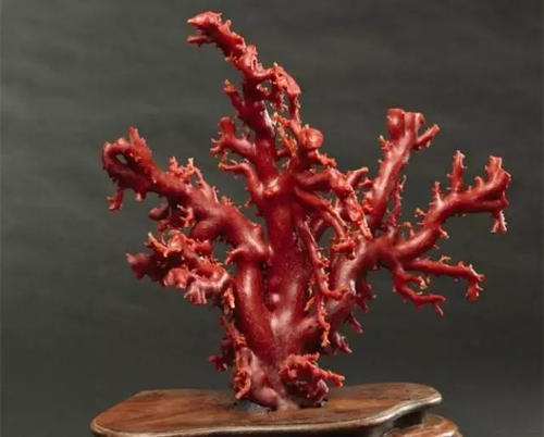 这10种文玩都是违禁品最好别碰,这5种文玩核桃千万不要买