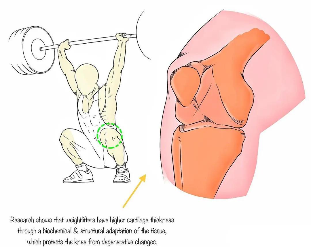 男女深蹲次数多少合适,练习深蹲一个月有什么效果