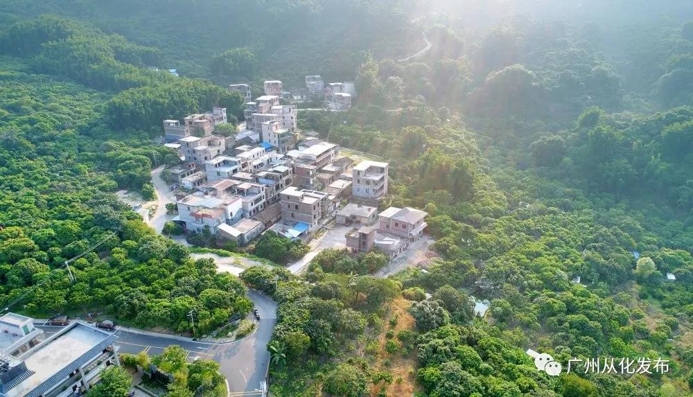 我是真的热啊,从化的天气有多冷