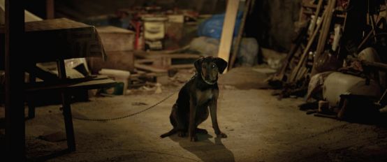 导演拒绝删减任何镜头!片长3小时,生生扯下了理想主义的遮羞布