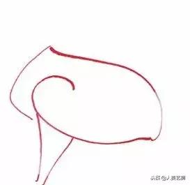 碳素笔素描简笔画入门,教学用水彩笔画画