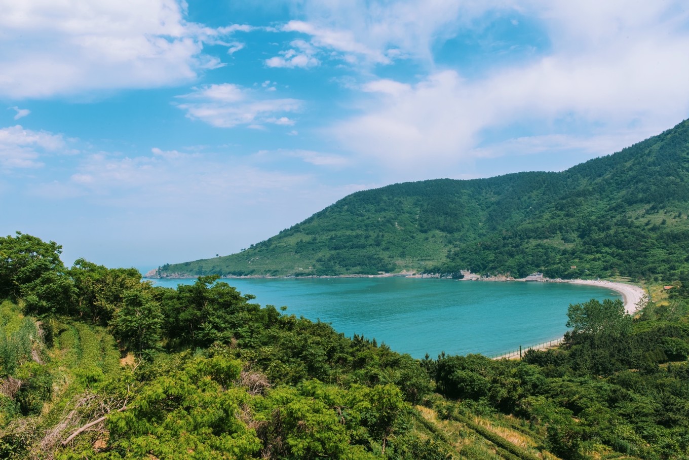 度假的袋鼠,青岛旅行的袋鼠