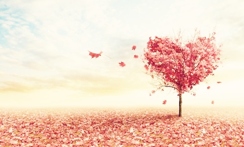 听说你喜欢嗑瓜子儿,那我就去做一株向日葵。