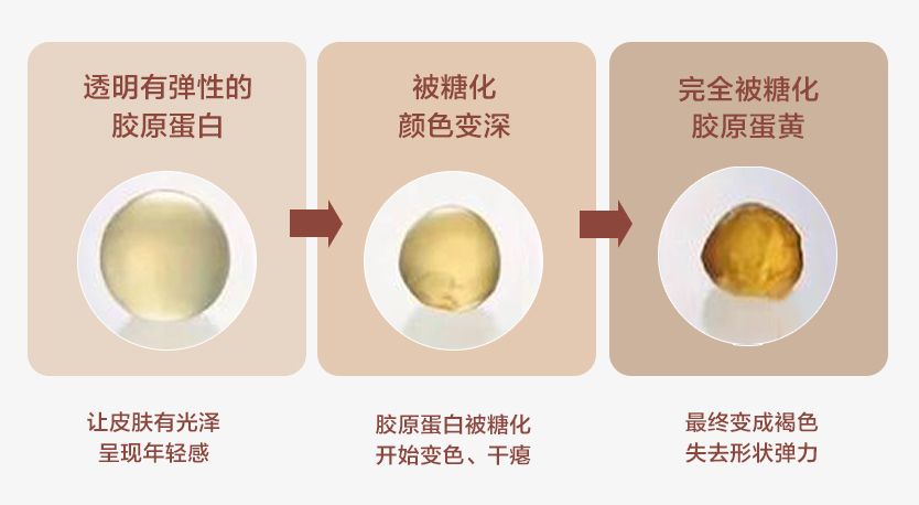 张韶涵如何抗糖,张韶涵抗老秘密