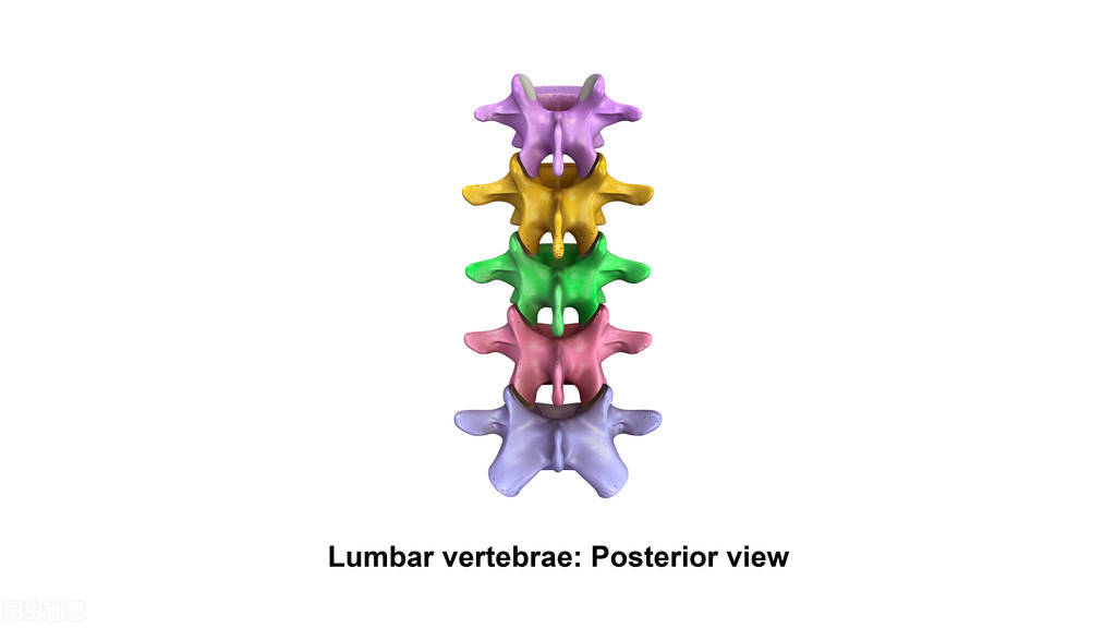 可以来神经外科看颈椎病，腰椎病哦