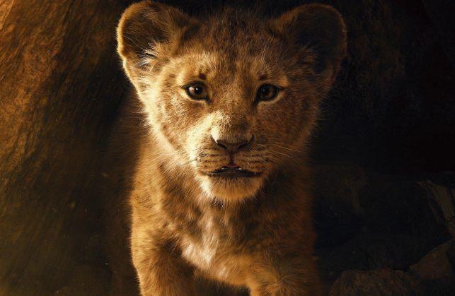 新年第一天给大家看点,新年第一天给大家看视频